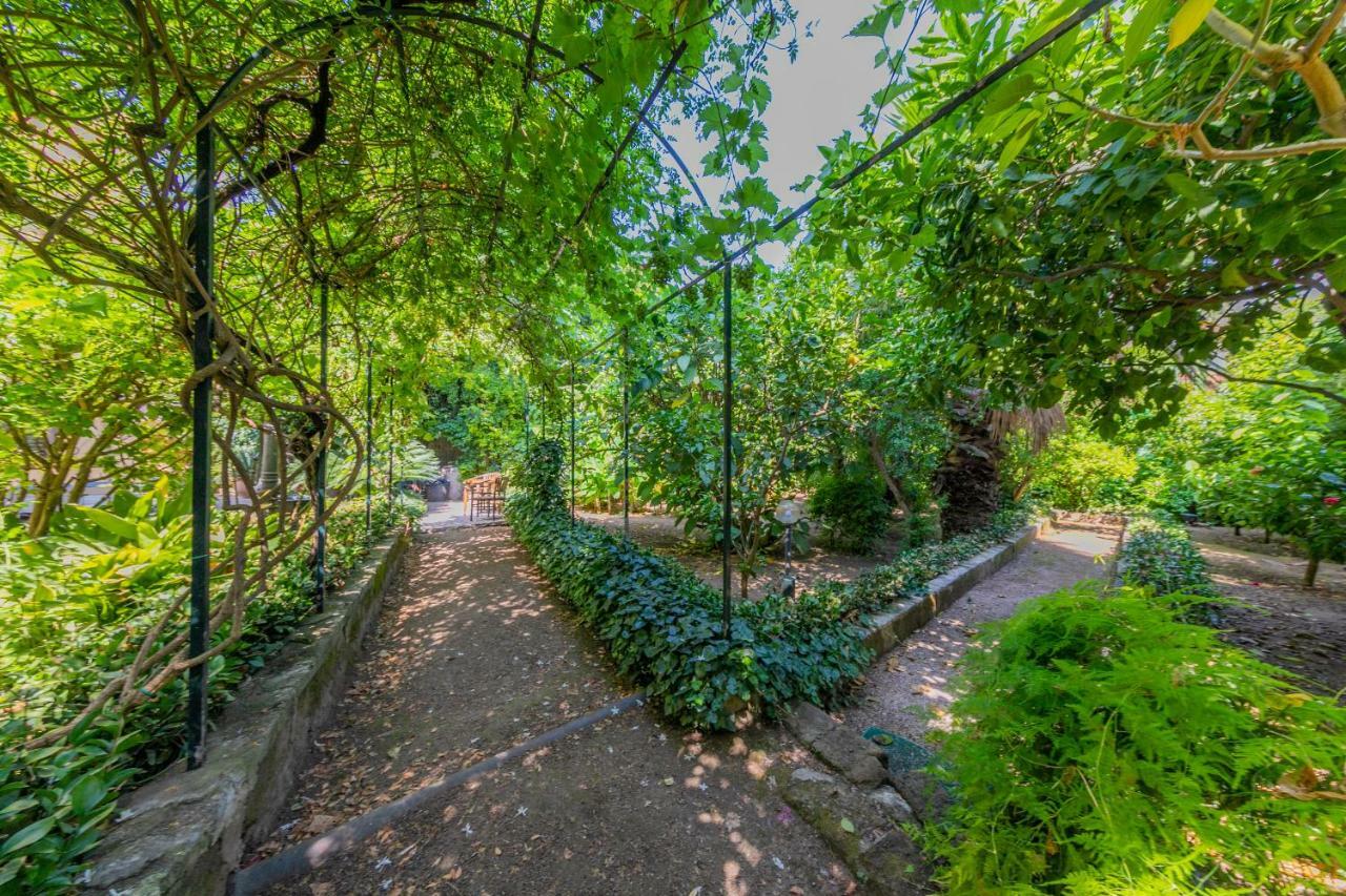 Villa Mezzarancia パレルモ エクステリア 写真